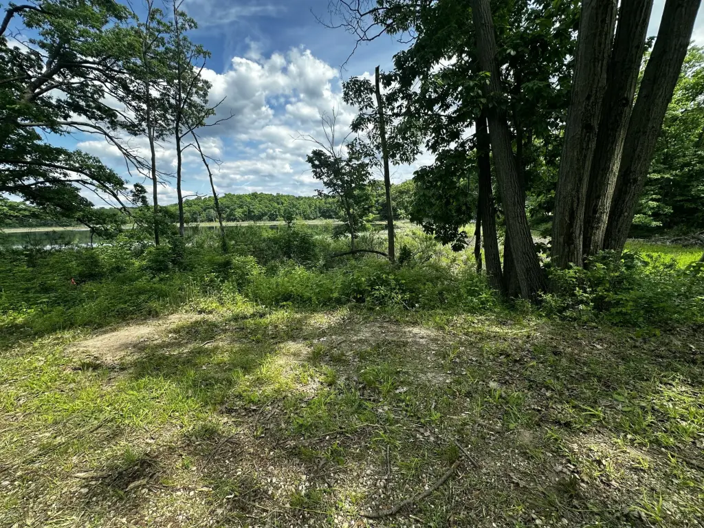 Picture 15