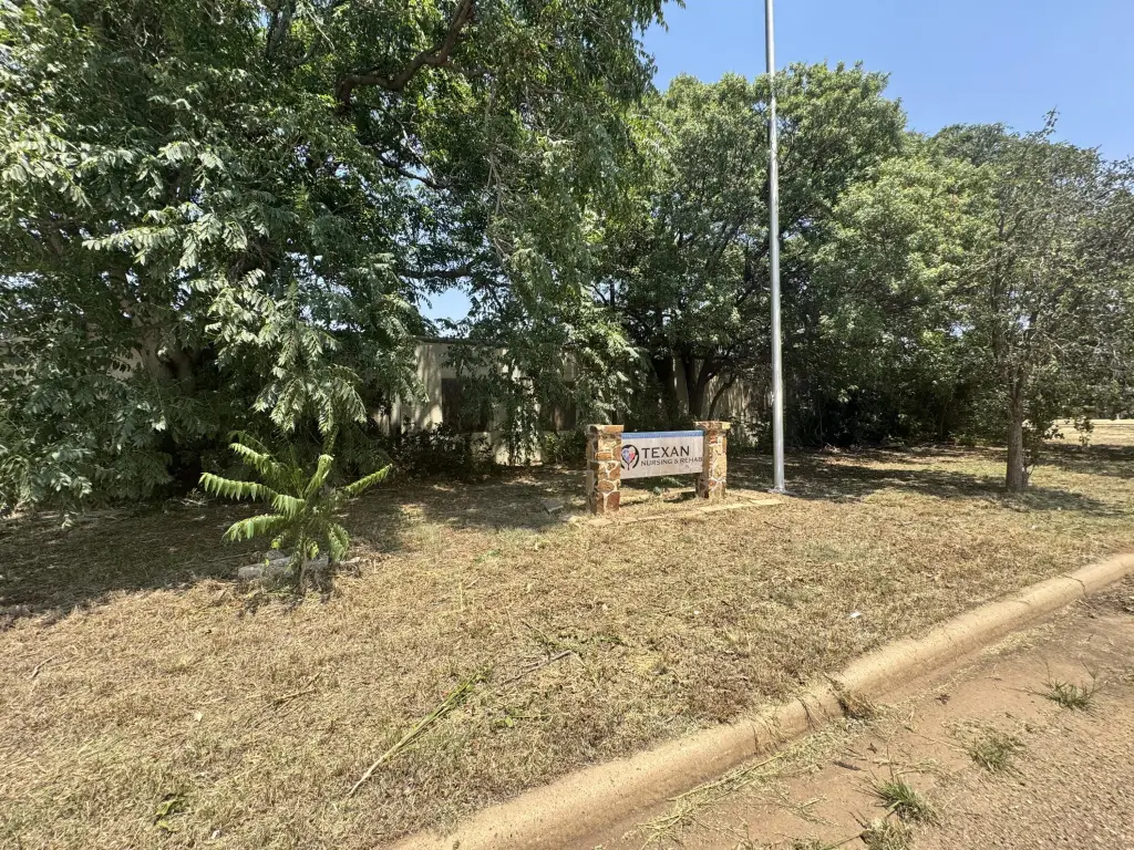 Picture 8