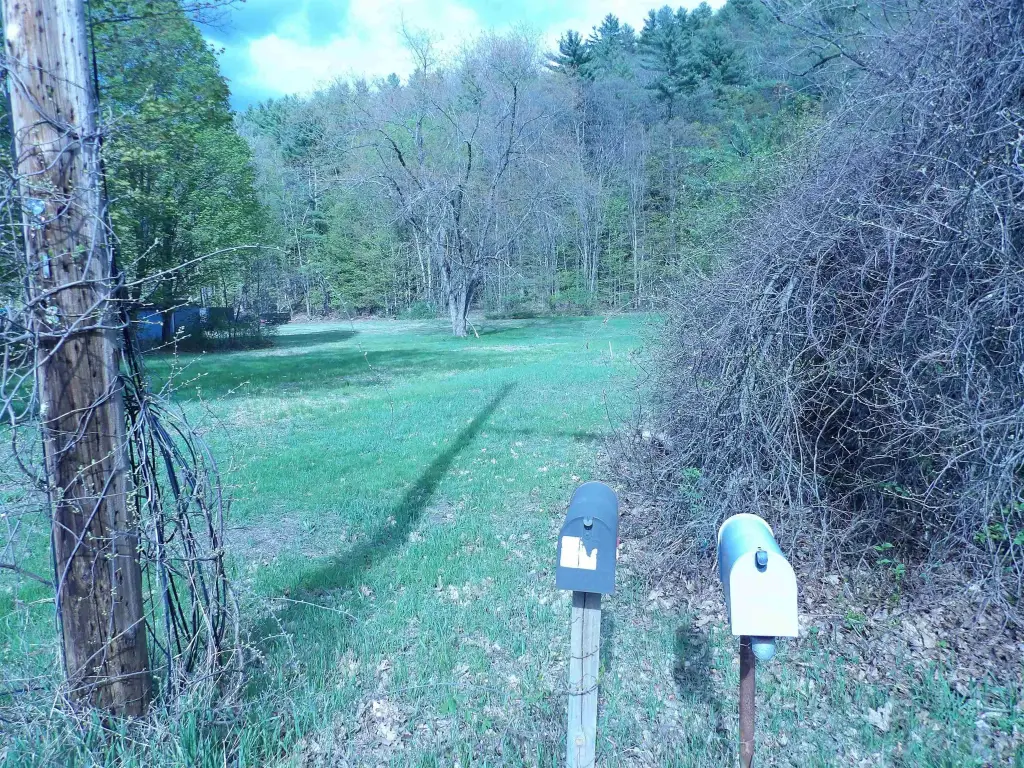 Picture 9