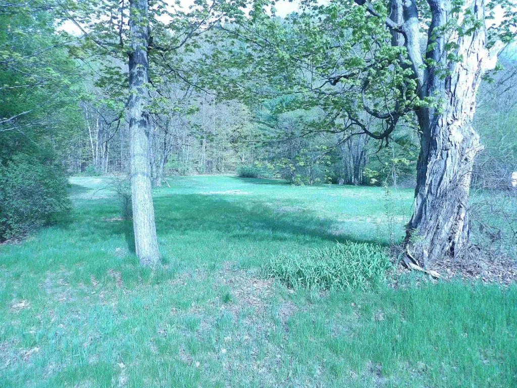 Picture 7