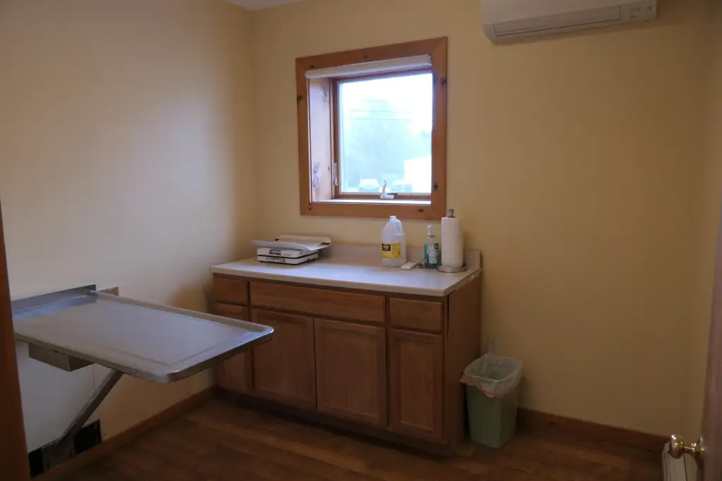 Picture 7