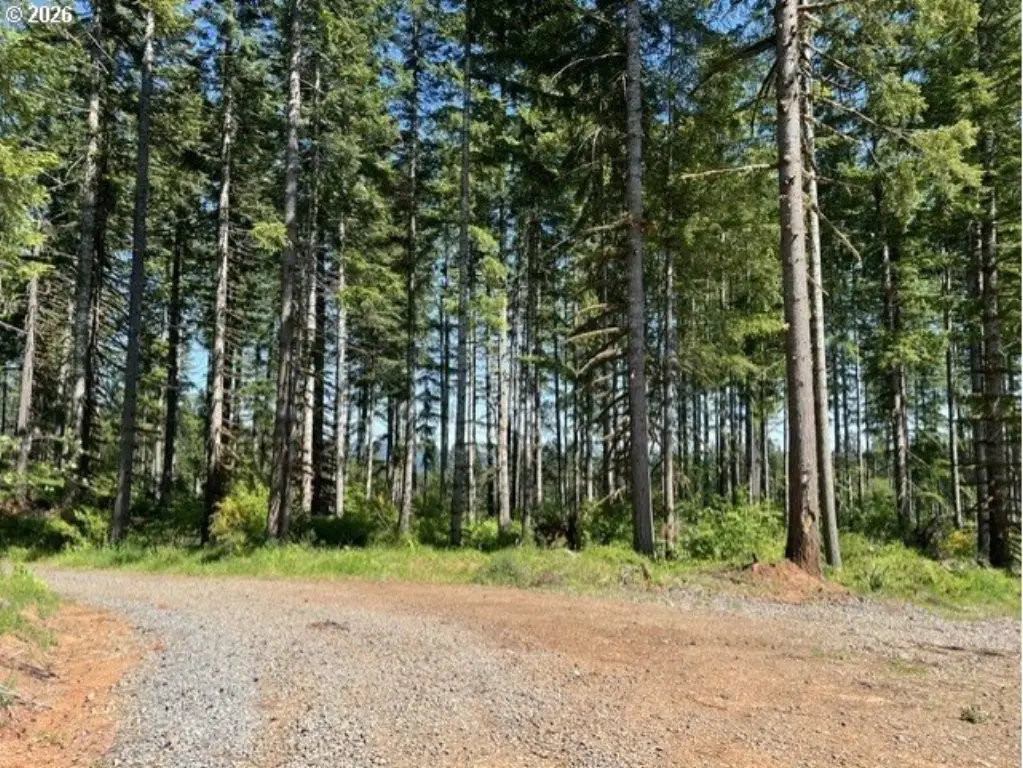 Picture 17