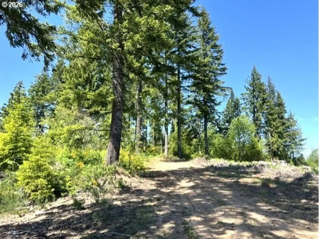 Picture 29