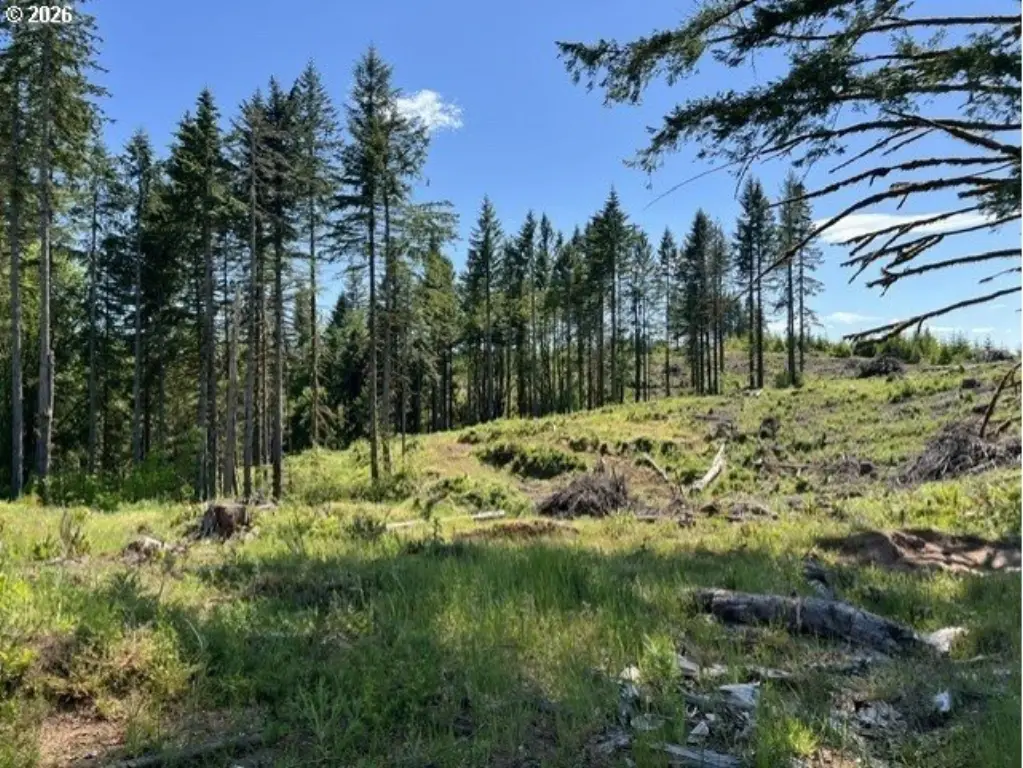 Picture 41