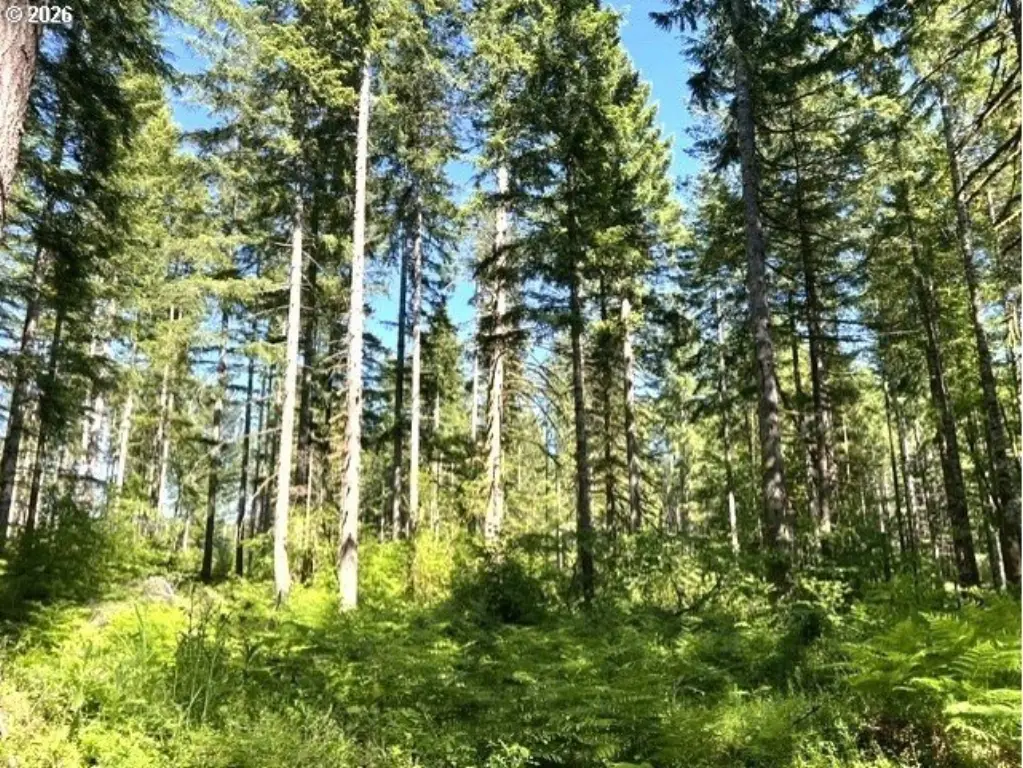 Picture 22