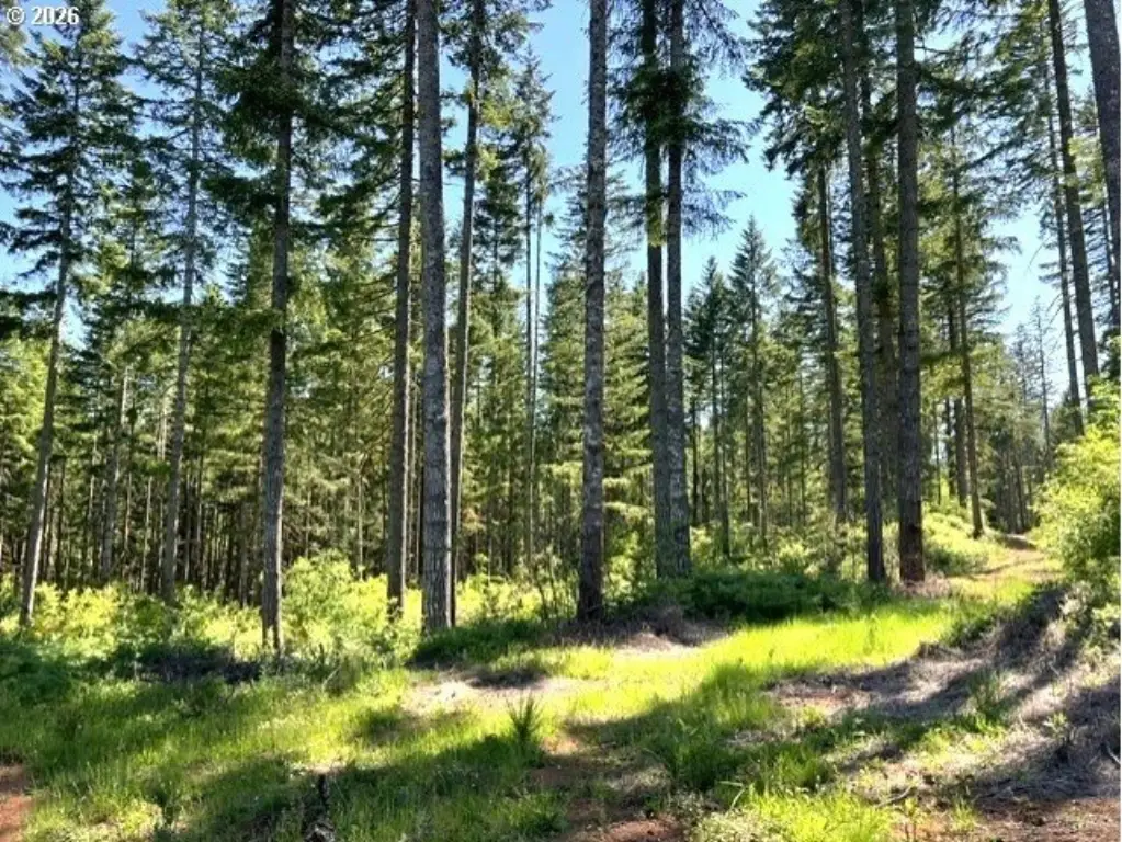 Picture 24