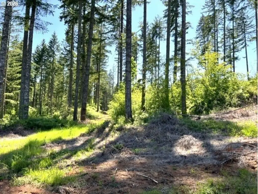 Picture 7