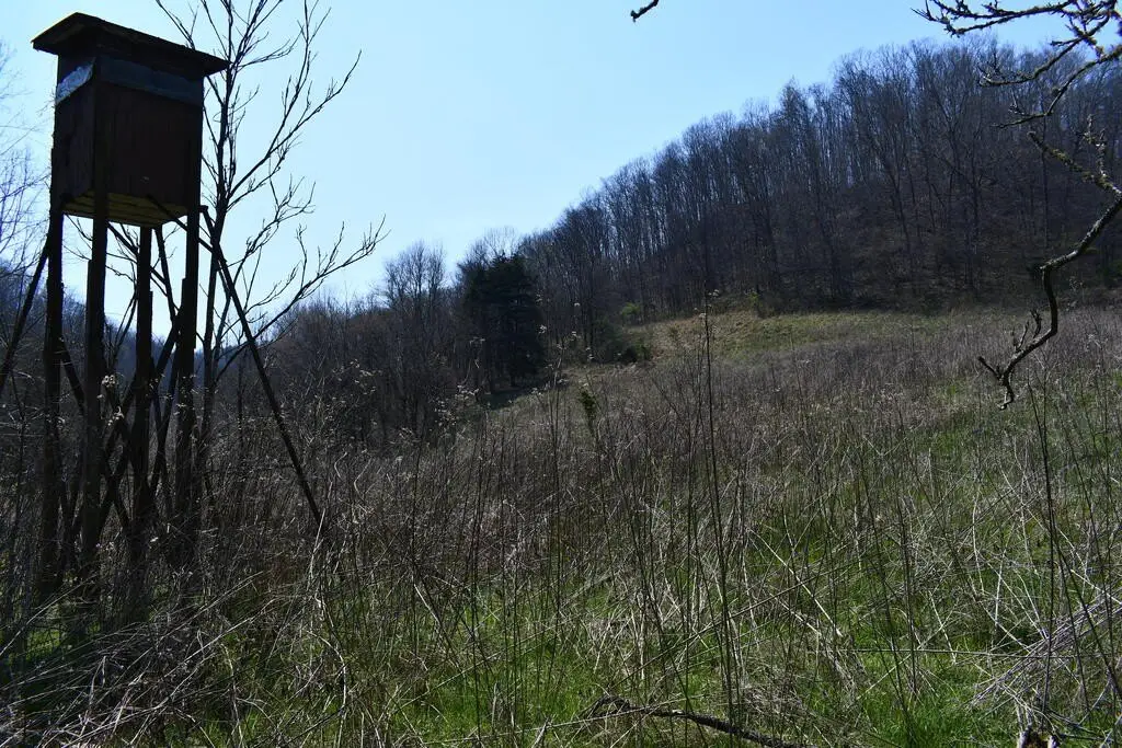 Picture 17