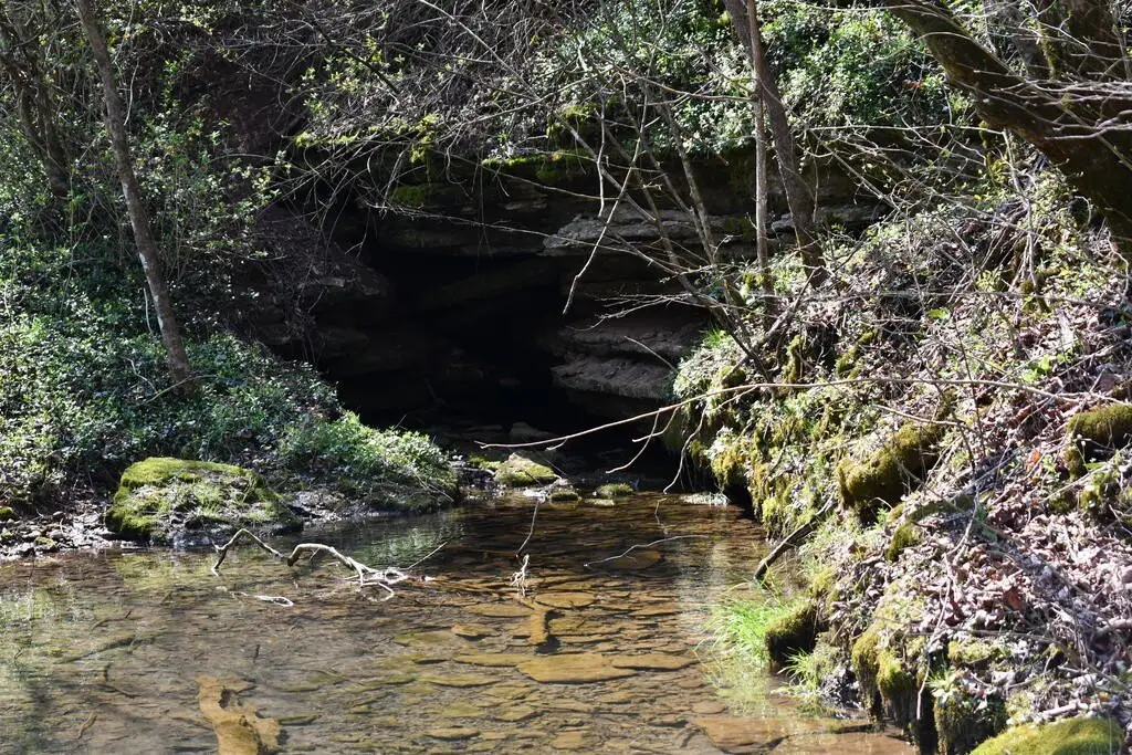 Picture 10