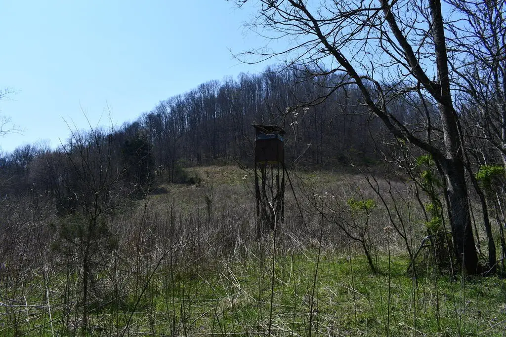 Picture 15