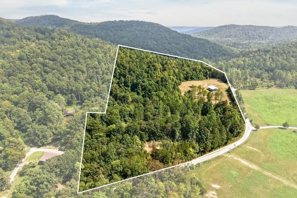 Picture 16