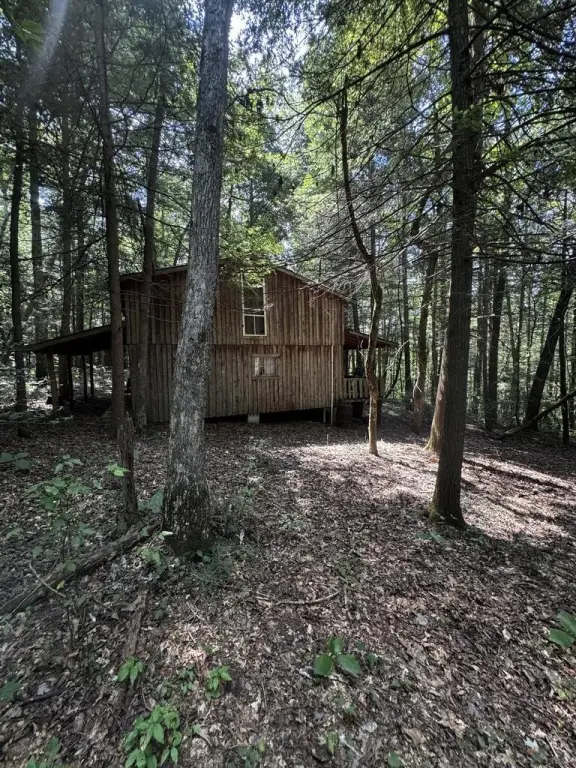 Picture 18