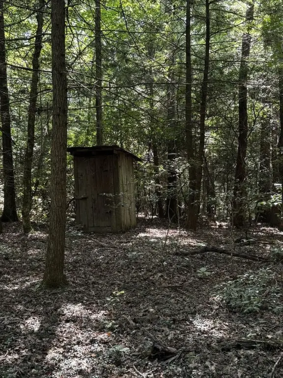 Picture 23