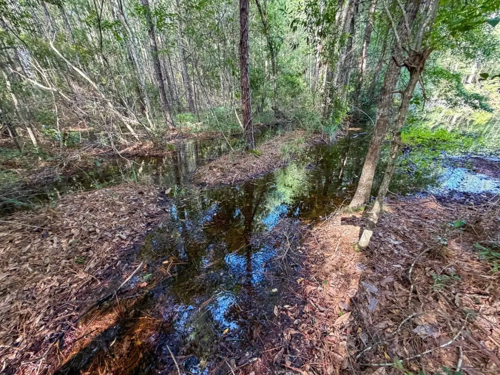 Picture 15