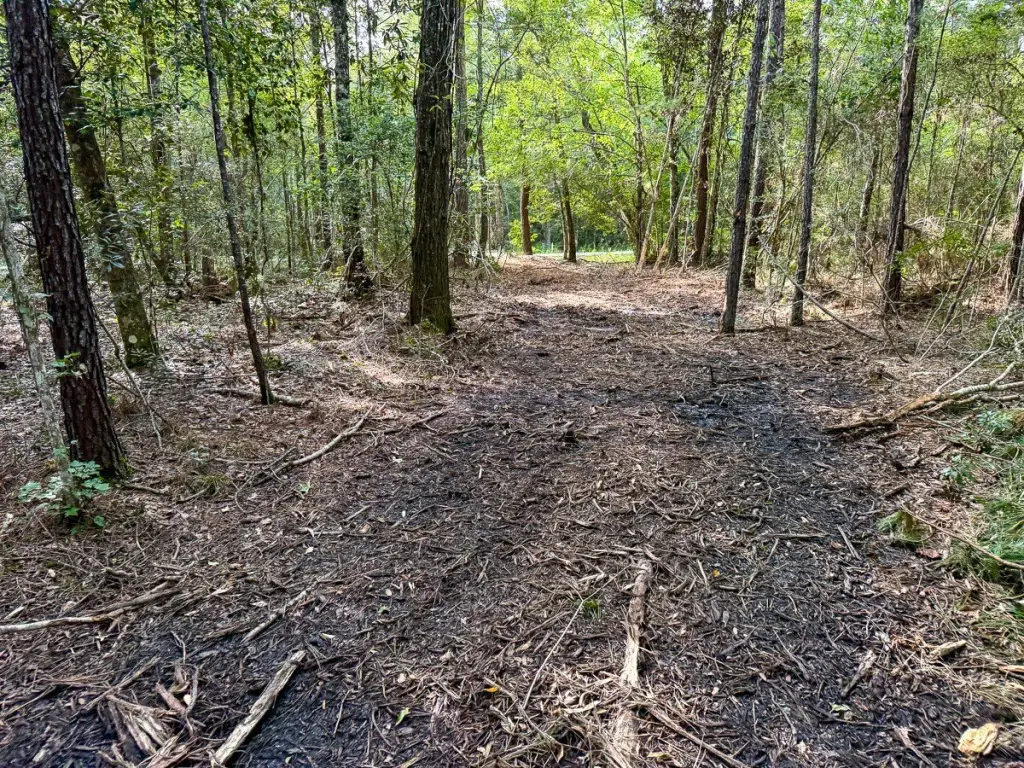 Picture 16