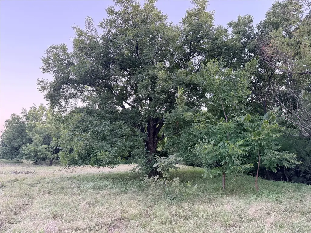 Picture 26