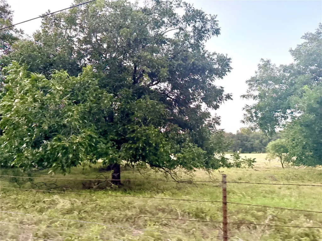 Picture 34