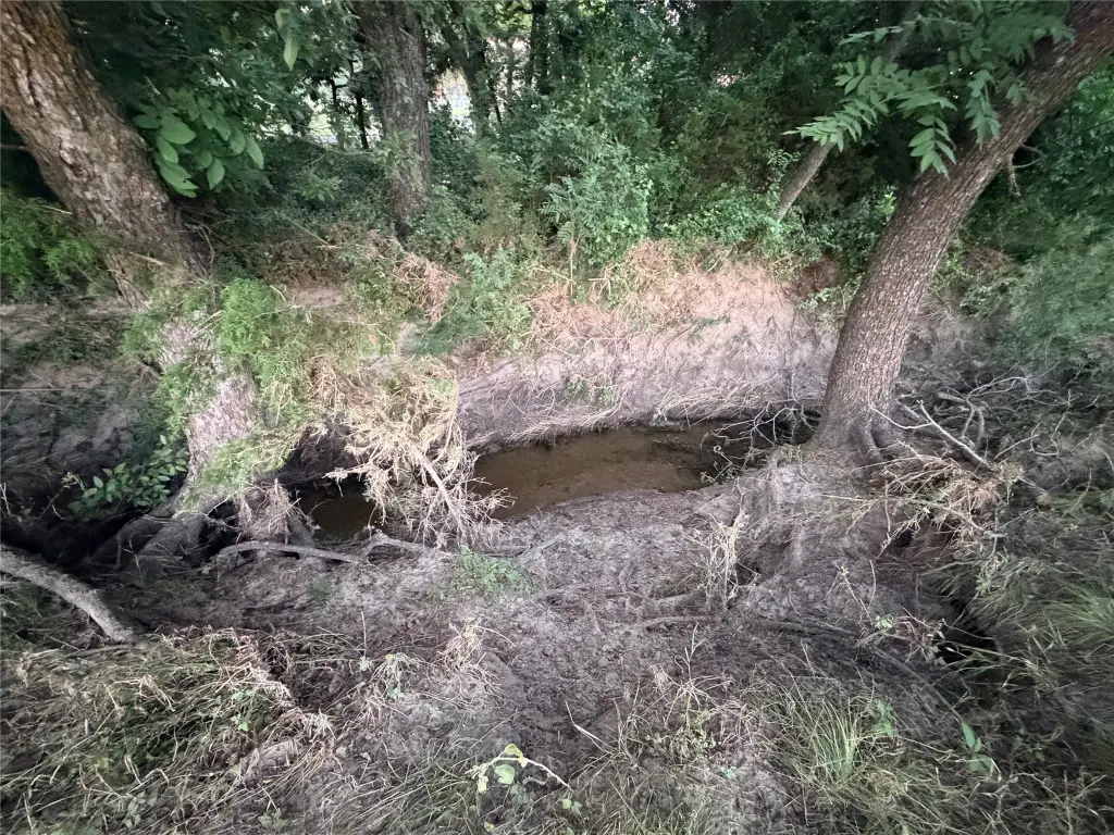 Picture 24