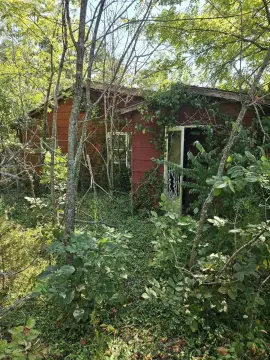 10 Acres in the Ozarks