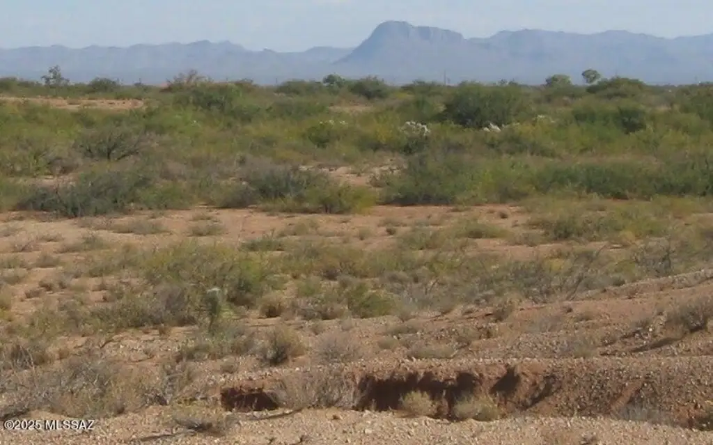 Picture 5