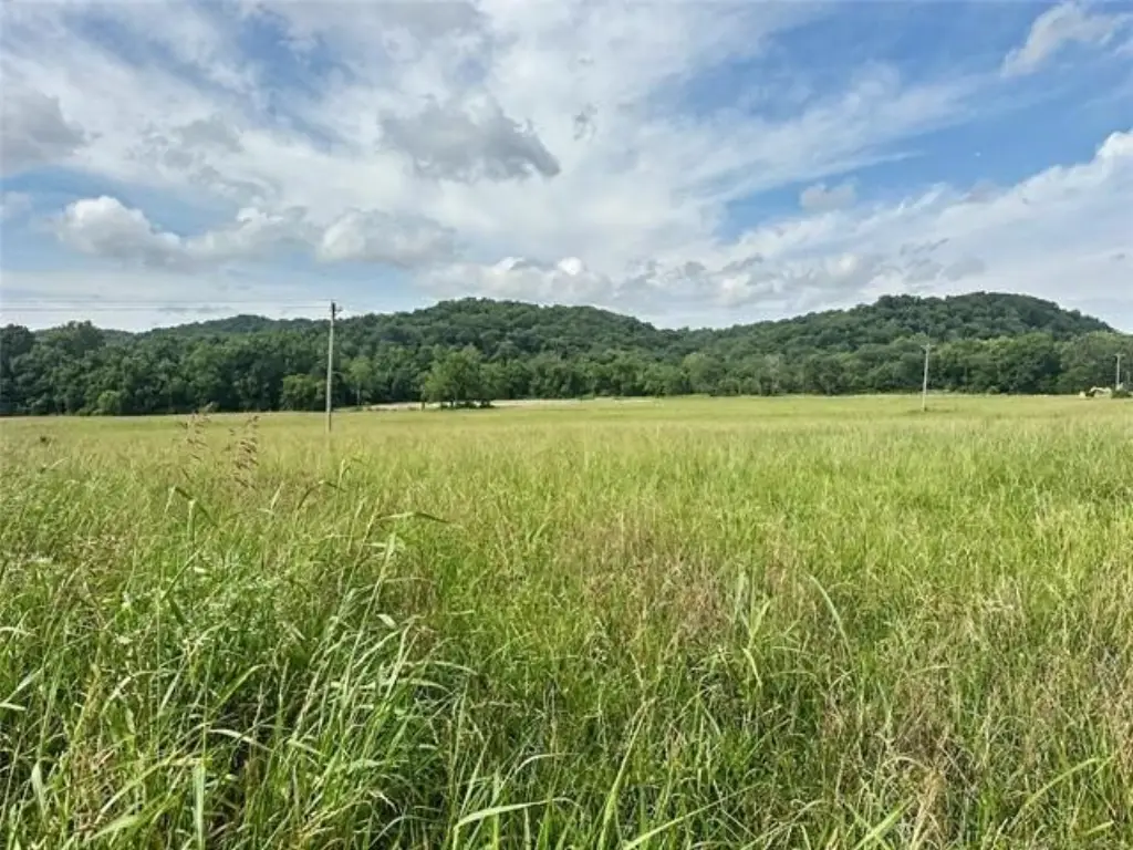 Picture 12