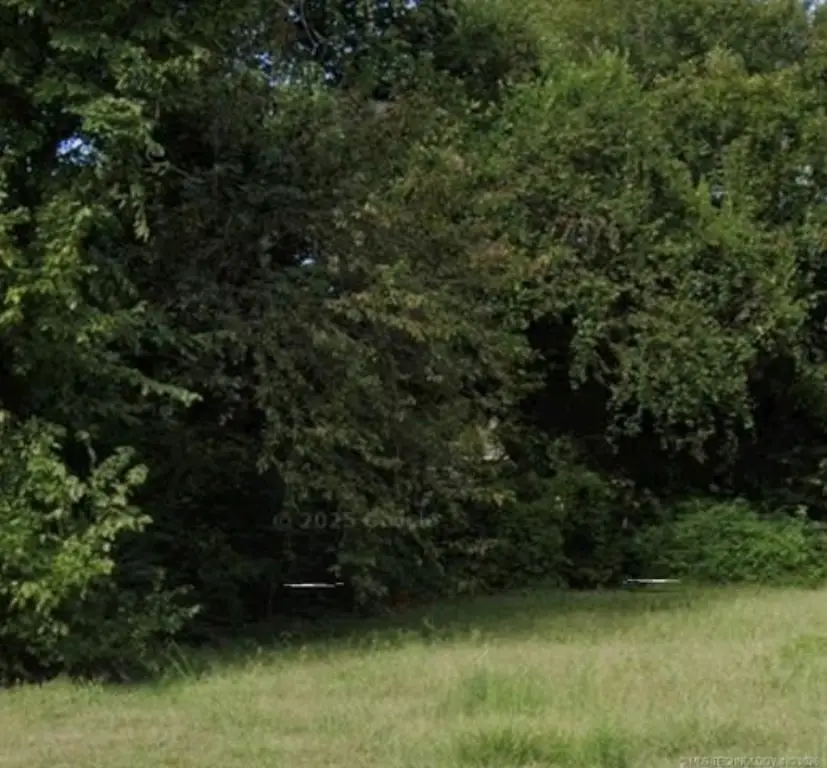 Picture 3