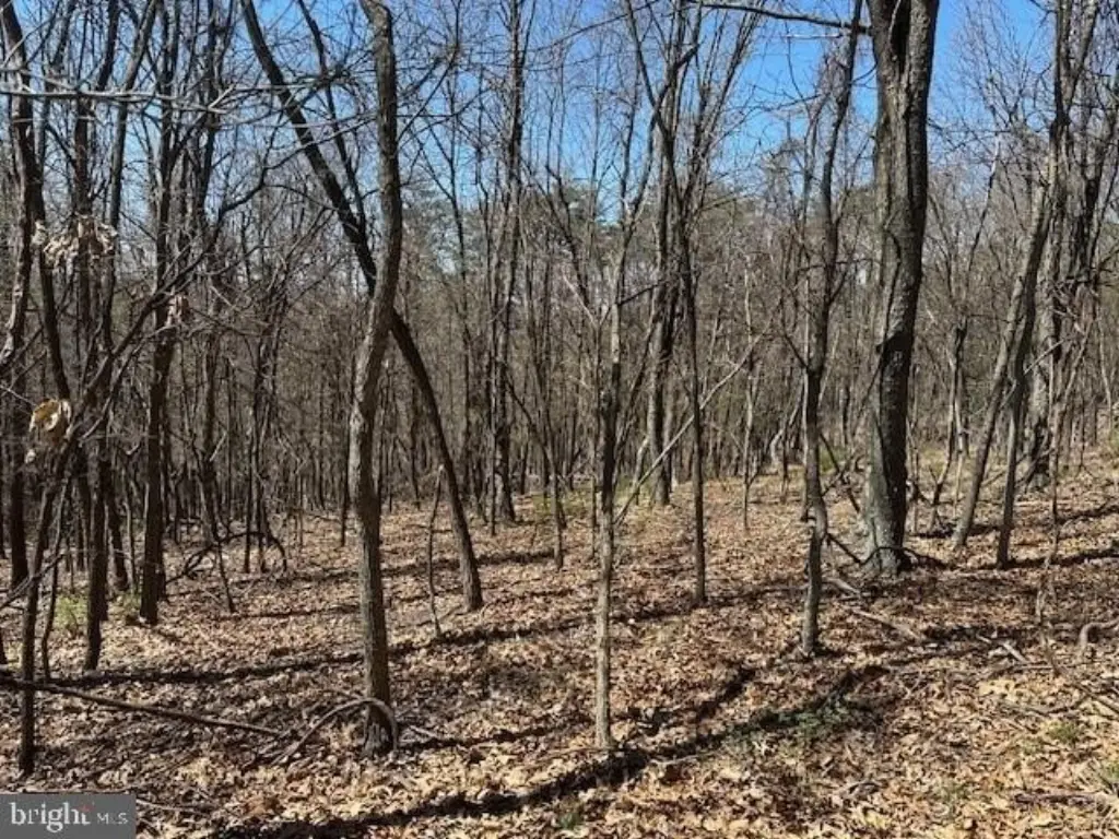 Picture 3