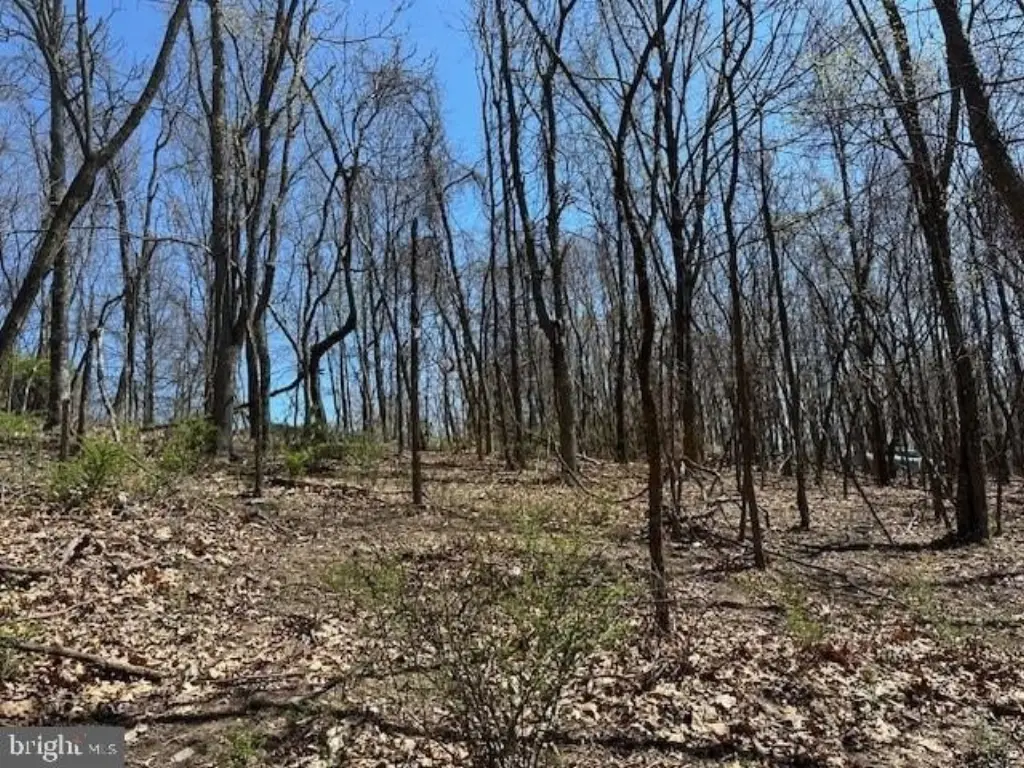 Picture 10