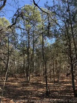 Buildable Lot in Cameron, NC