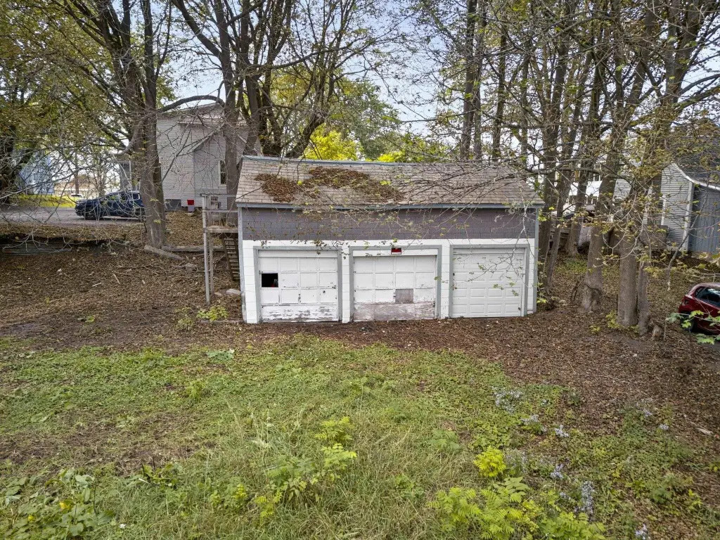 Picture 7