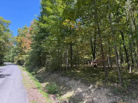 Land Parcel in Big Flats