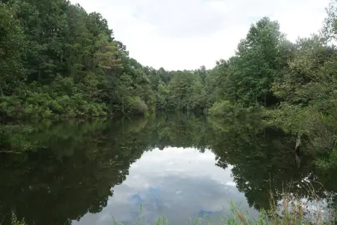 480 Acres of Recreational Land