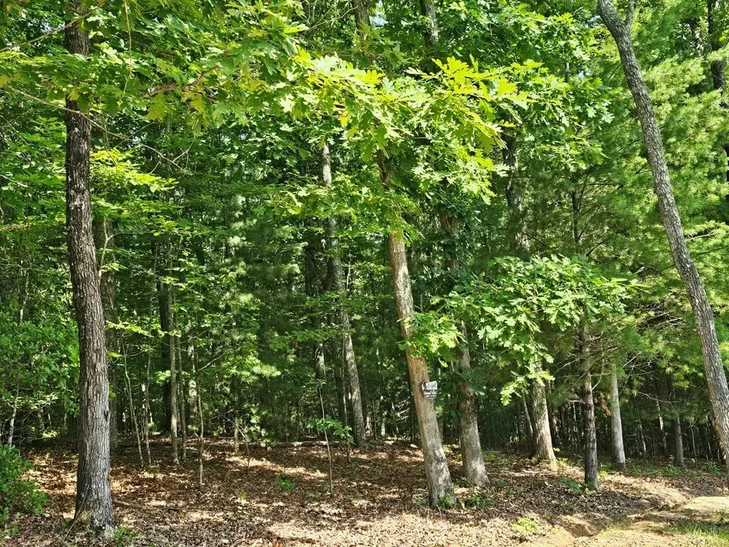 Picture 23
