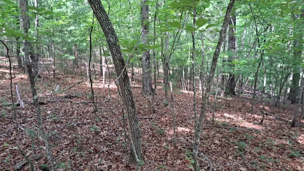 Picture 13