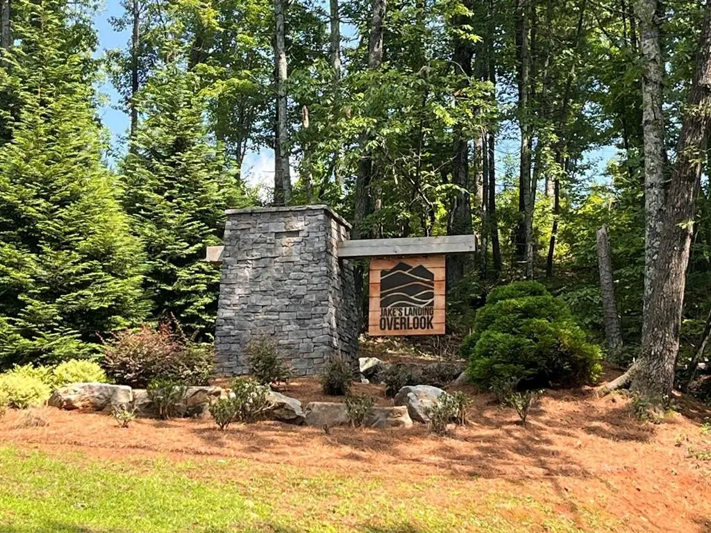 Picture 25