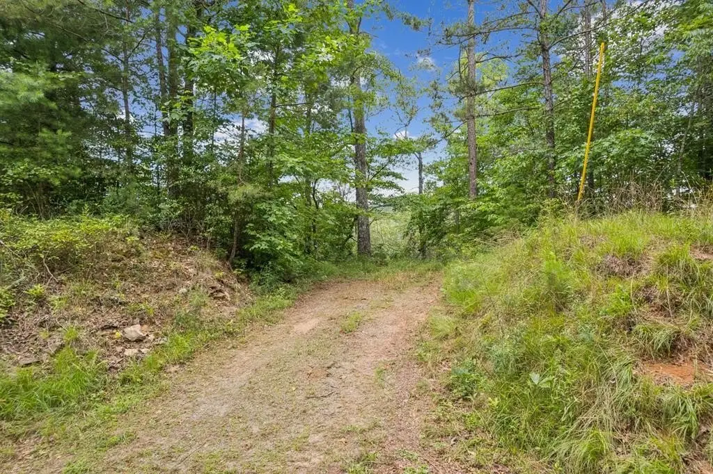 Picture 7
