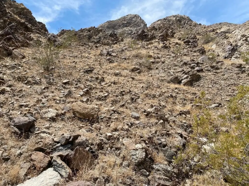 Picture 52