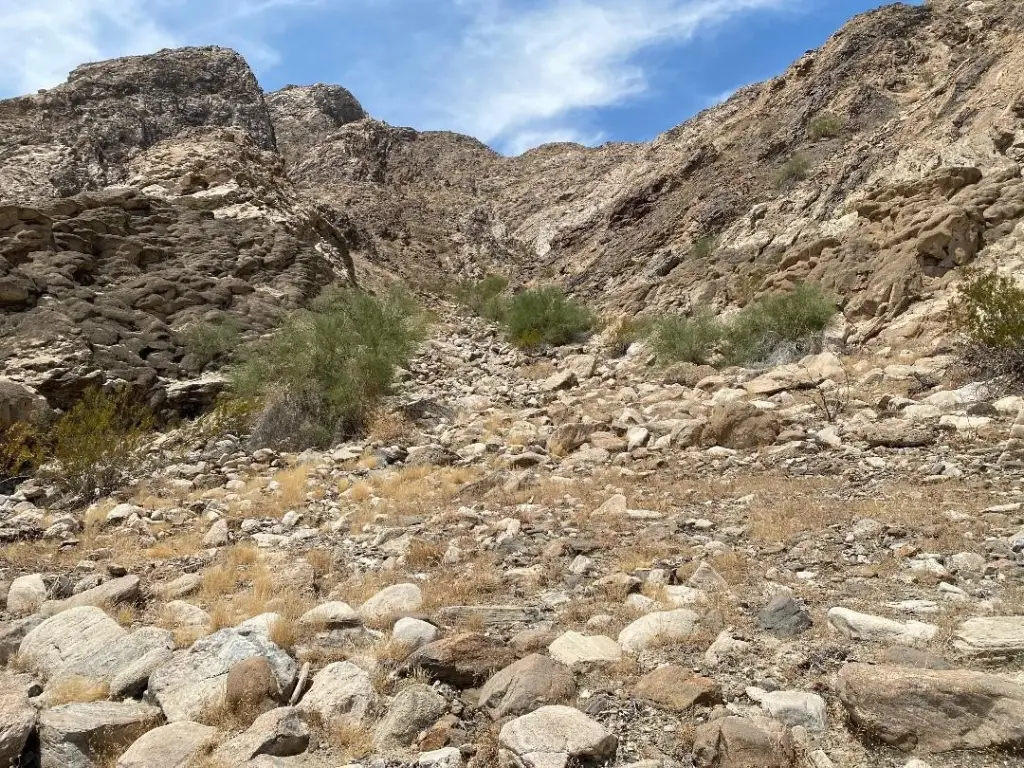 Picture 34