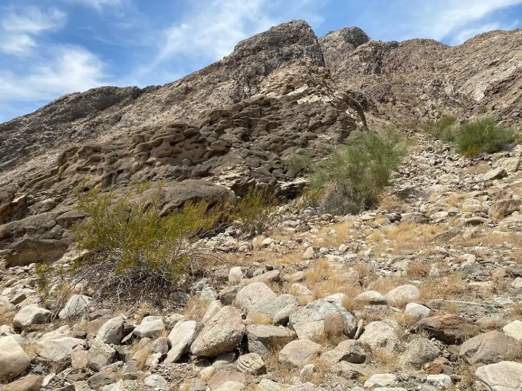 Picture 31