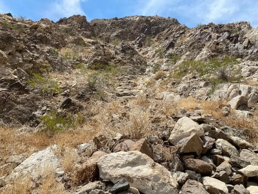 Picture 37