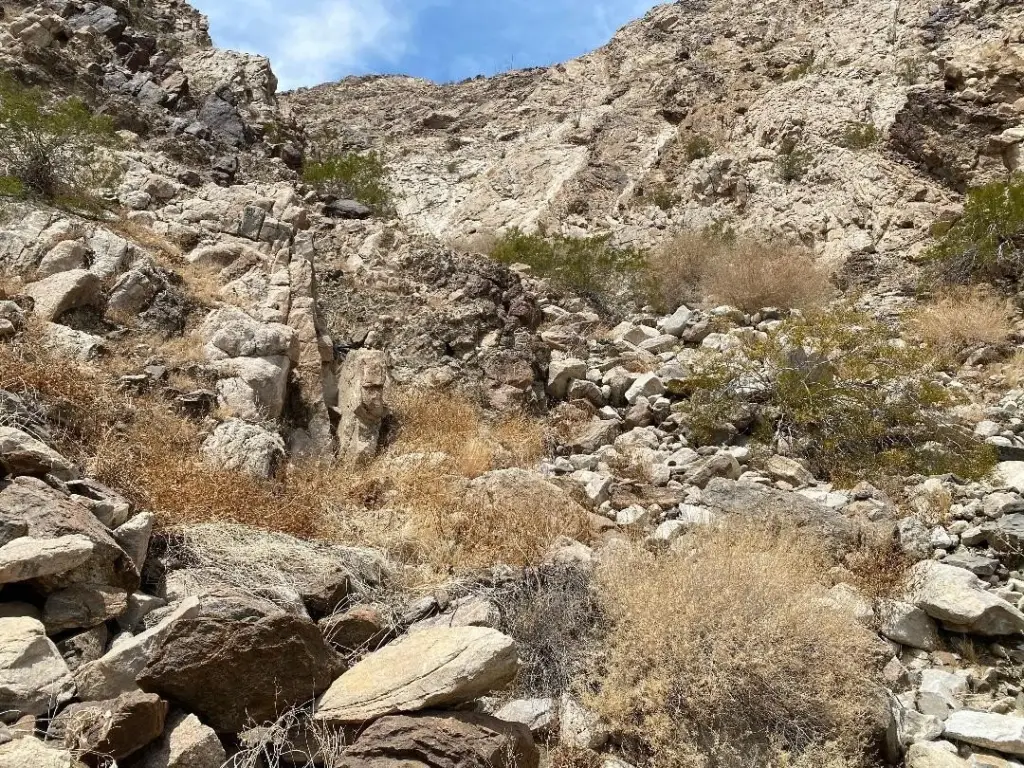 Picture 39