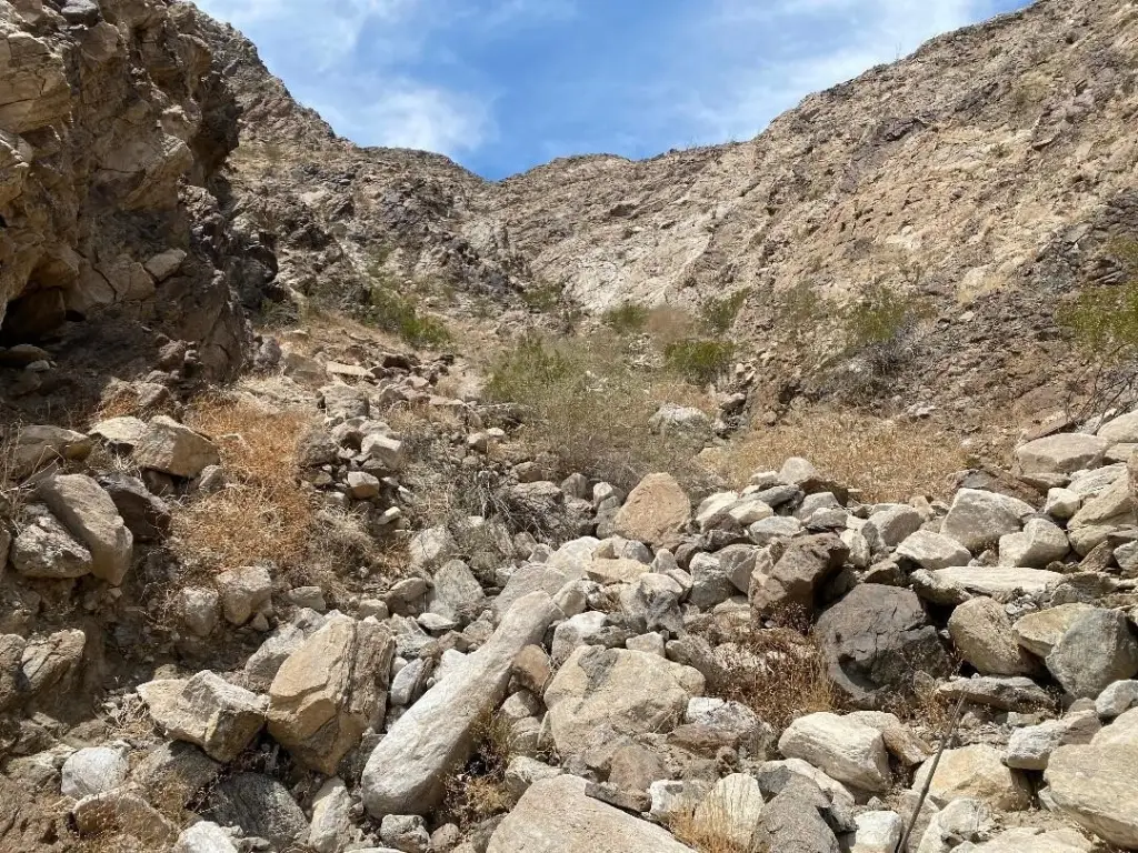 Picture 36