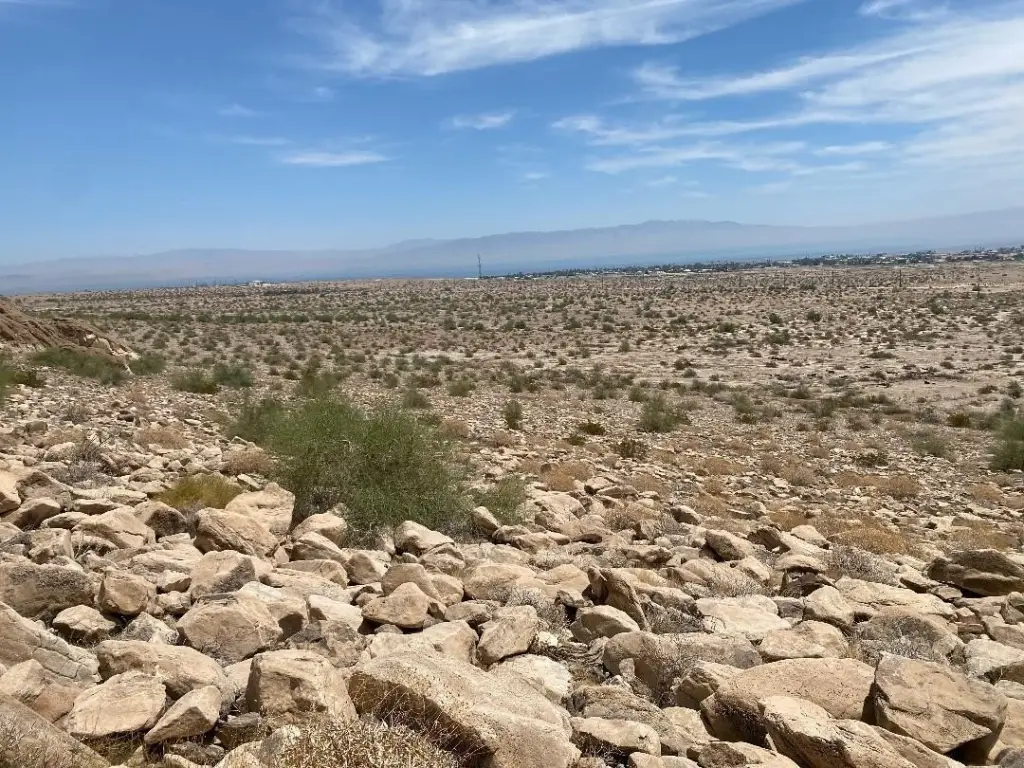 Picture 26
