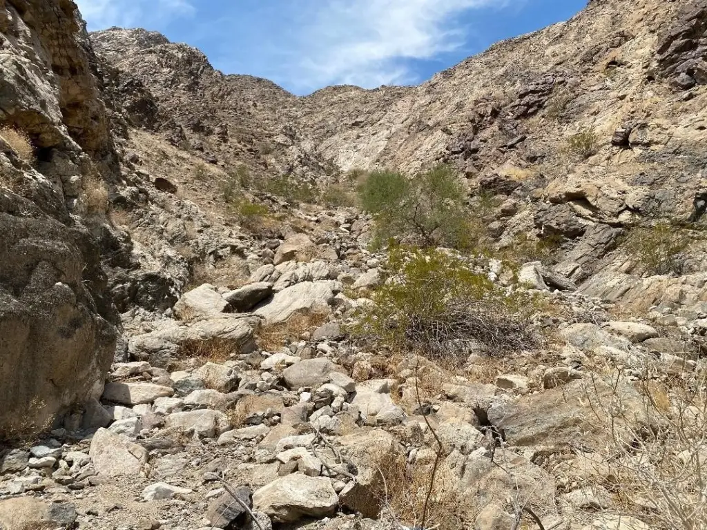 Picture 51