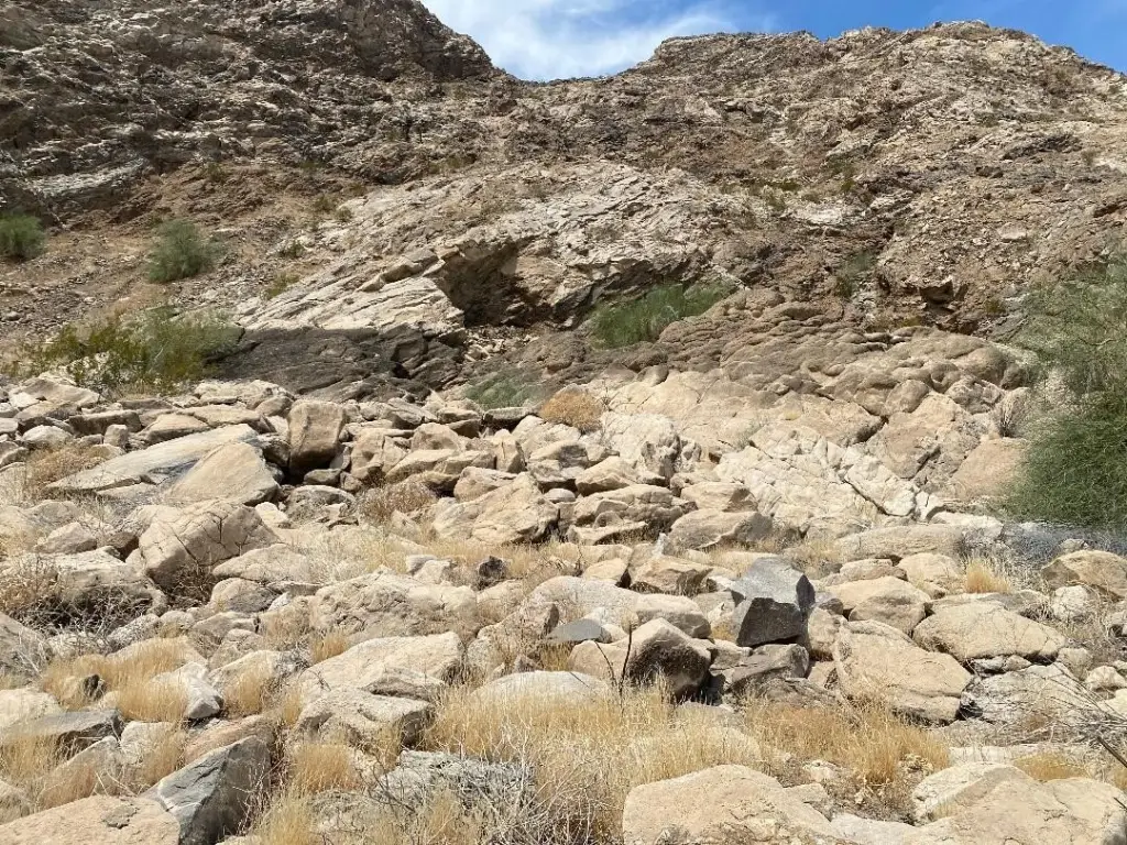 Picture 17