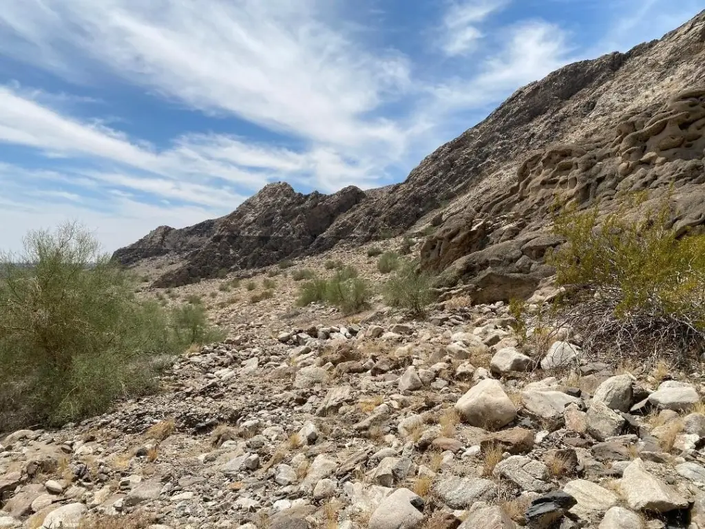Picture 30