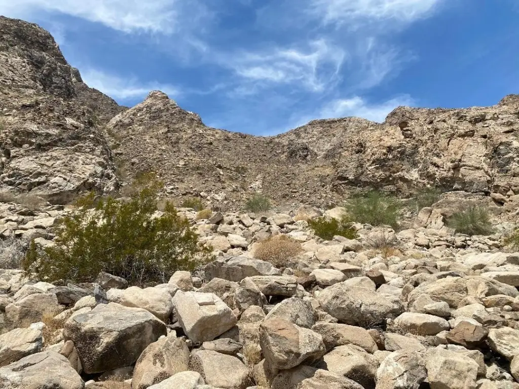 Picture 29
