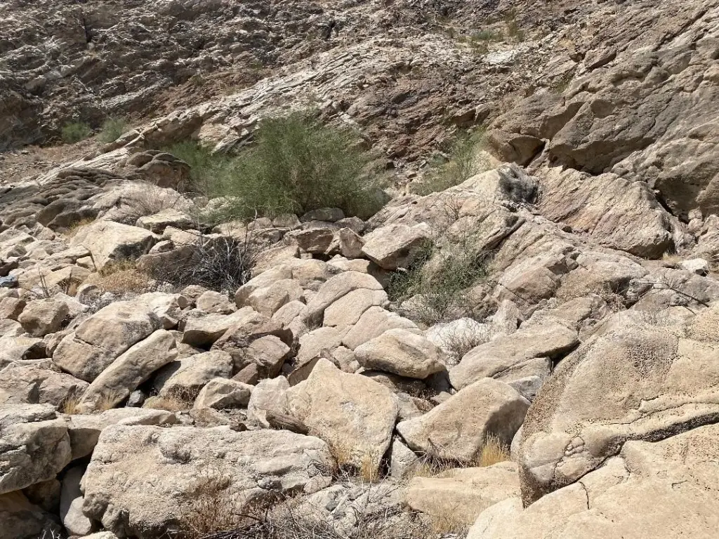 Picture 22