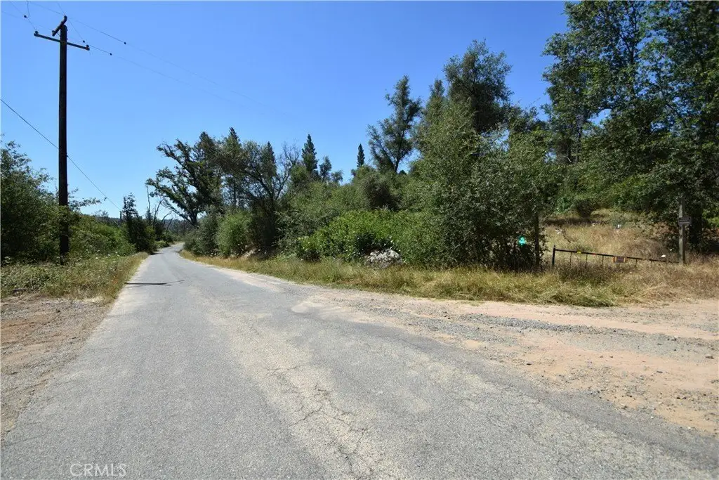 Picture 19