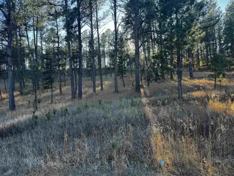 Residential Land in Custer, SD